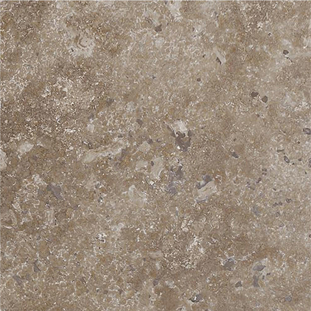 Noce Dark CC Honed 6&#39;&#39; x 6&#39;&#39;  x 3/8&#39;&#39; Field Tile