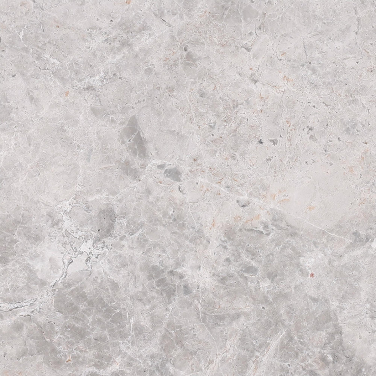 Tundra Grey Polished 12&#39;&#39; x 12&#39;&#39;  x 3/8&#39;&#39; Field Tile