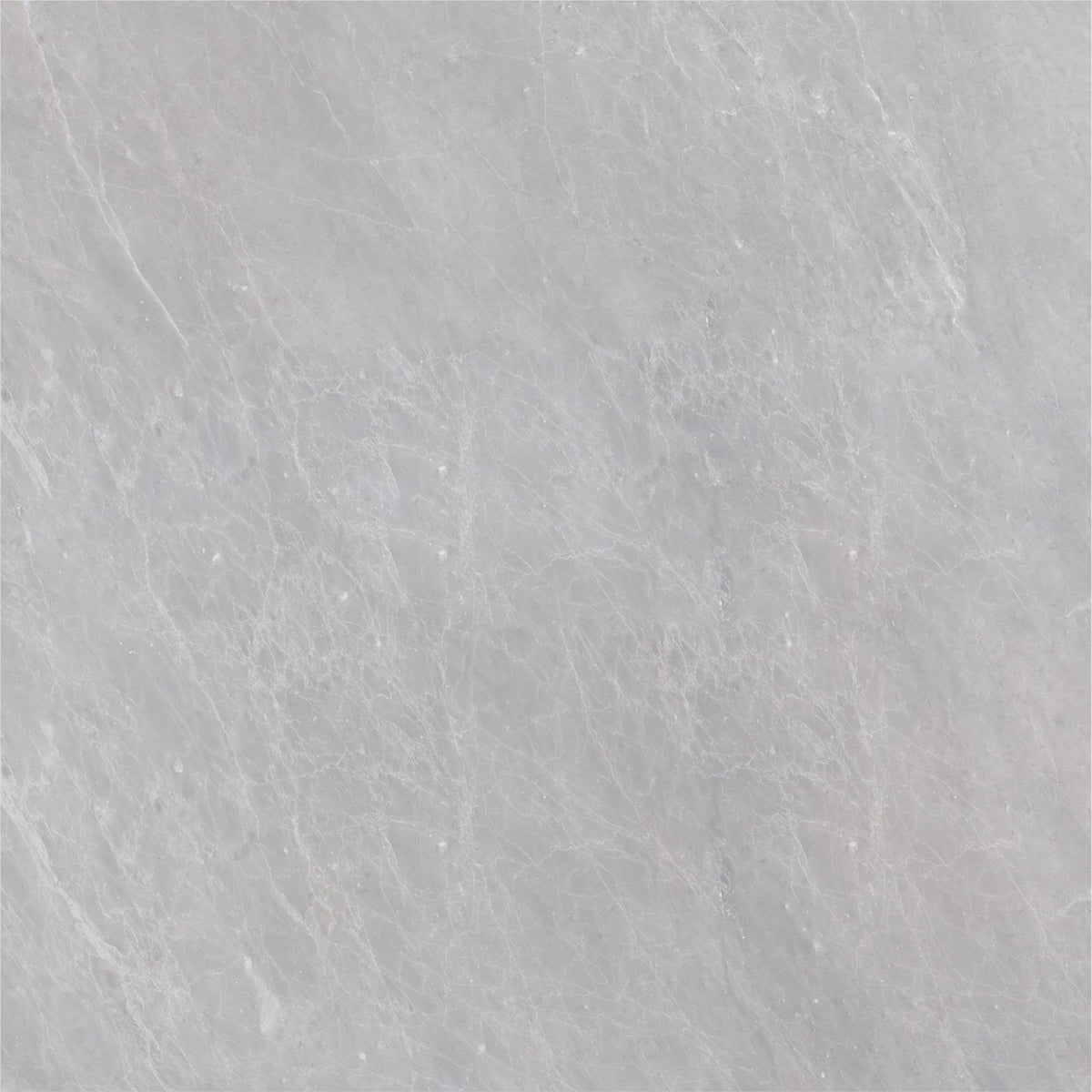 Earth Grey Honed 18&#39;&#39; x 18&#39;&#39;  x 1/2&#39;&#39; Field Tile