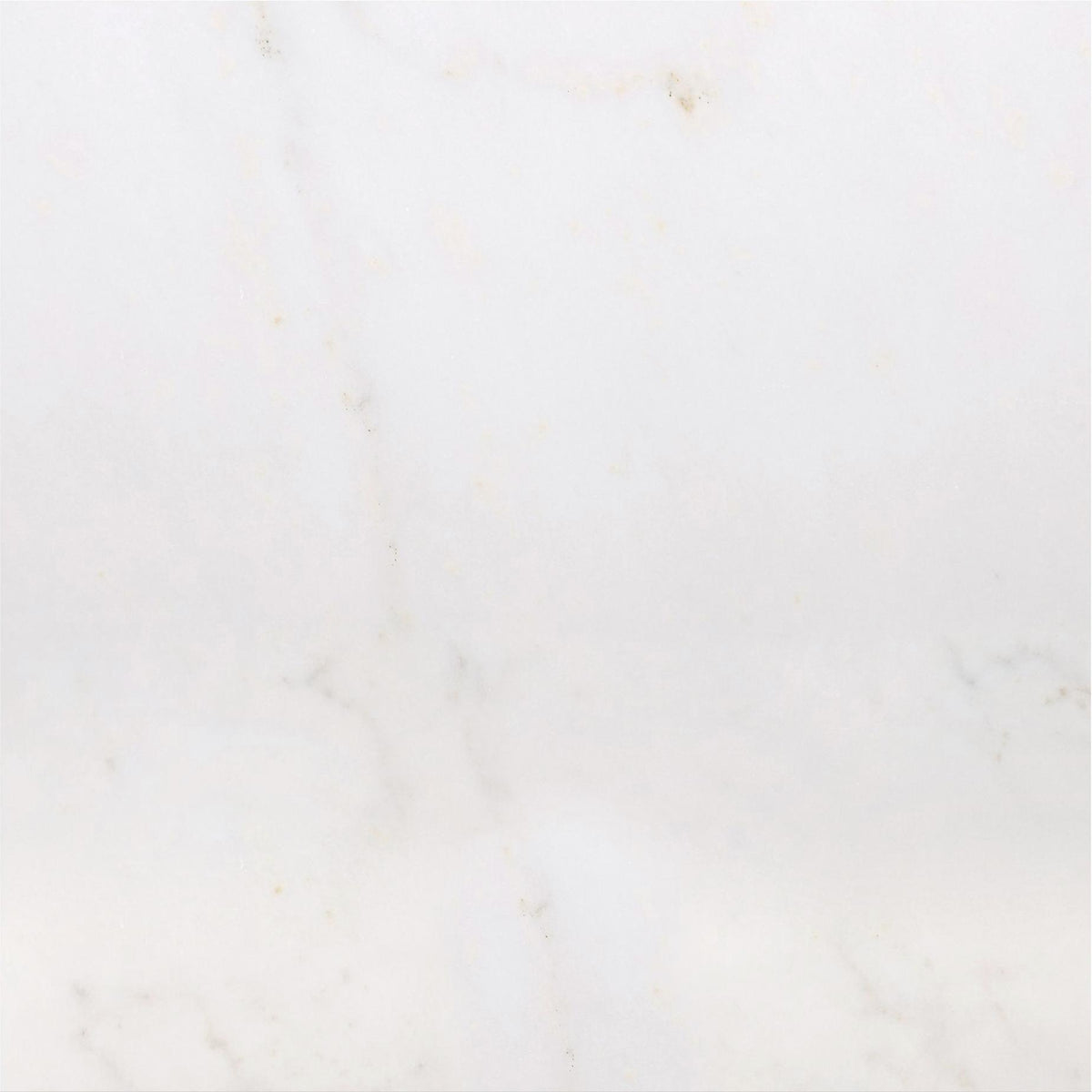 Afyon White Honed 18&#39;&#39; x 18&#39;&#39;  x 3/8&#39;&#39; Field Tile