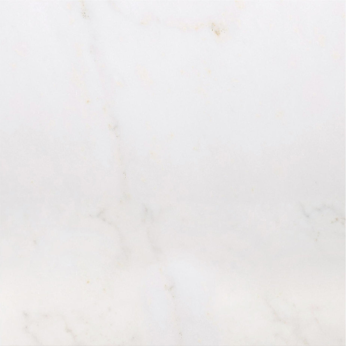 Afyon White Polished 18&#39;&#39; x 18&#39;&#39;  x 3/8&#39;&#39; Field Tile