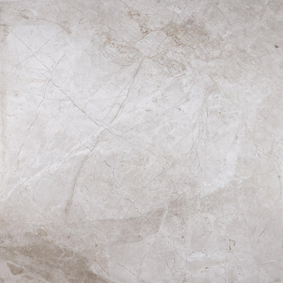 Cream Misto Honed 24&#39;&#39; x 24&#39;&#39;  x 5/8&#39;&#39; Field Tile