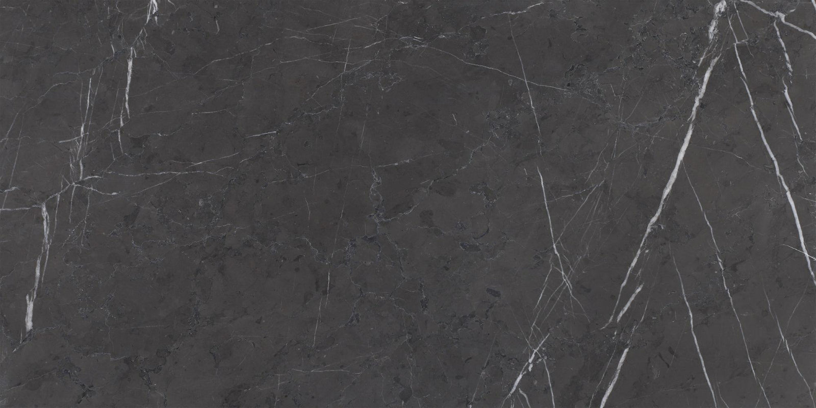 Mount Grey Plain Honed 12'' x 24''  x 1/2'' Field Tile Field Tile 