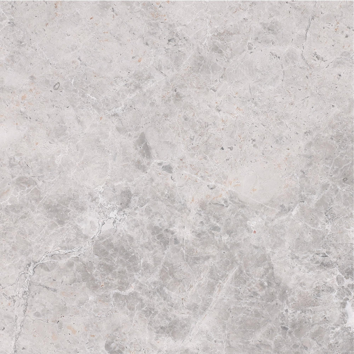 Tundra Grey Honed 18&#39;&#39; x 18&#39;&#39;  x 1/2&#39;&#39; Field Tile