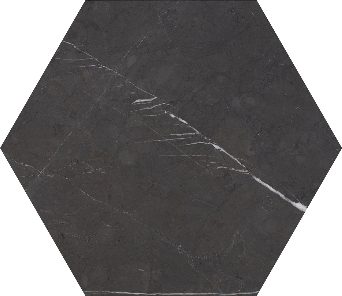 Mount Grey Plain Polished Hexagon 10&#39;&#39; 3/8&#39;&#39; Field Tile