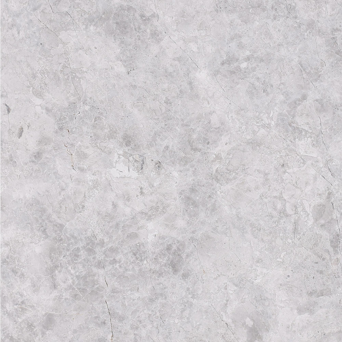 Tundra Grey Honed 16&#39;&#39; x 16&#39;&#39;  x 5/8&#39;&#39; Field Tile