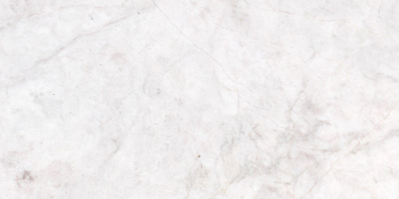 Elegantia Honed 6'' x 12''  x 3/8'' Field Tile Field Tile 