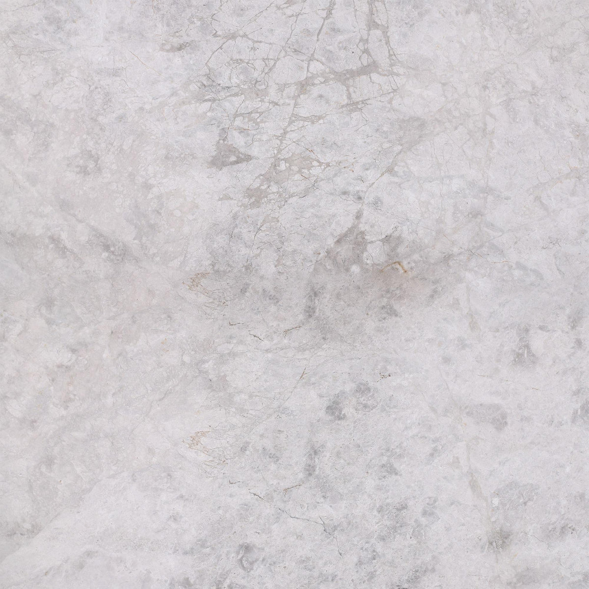 Tundra Grey Honed 24&#39;&#39; x 24&#39;&#39;  x 5/8&#39;&#39; Field Tile