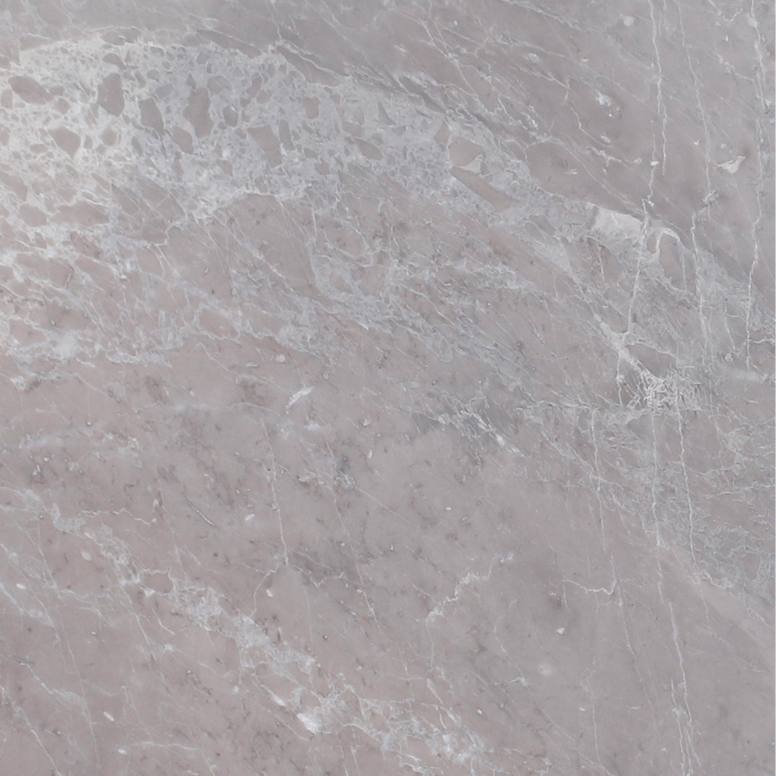 Earth Grey Polished 12'' x 12''  x 1/2'' Field Tile Field Tile 
