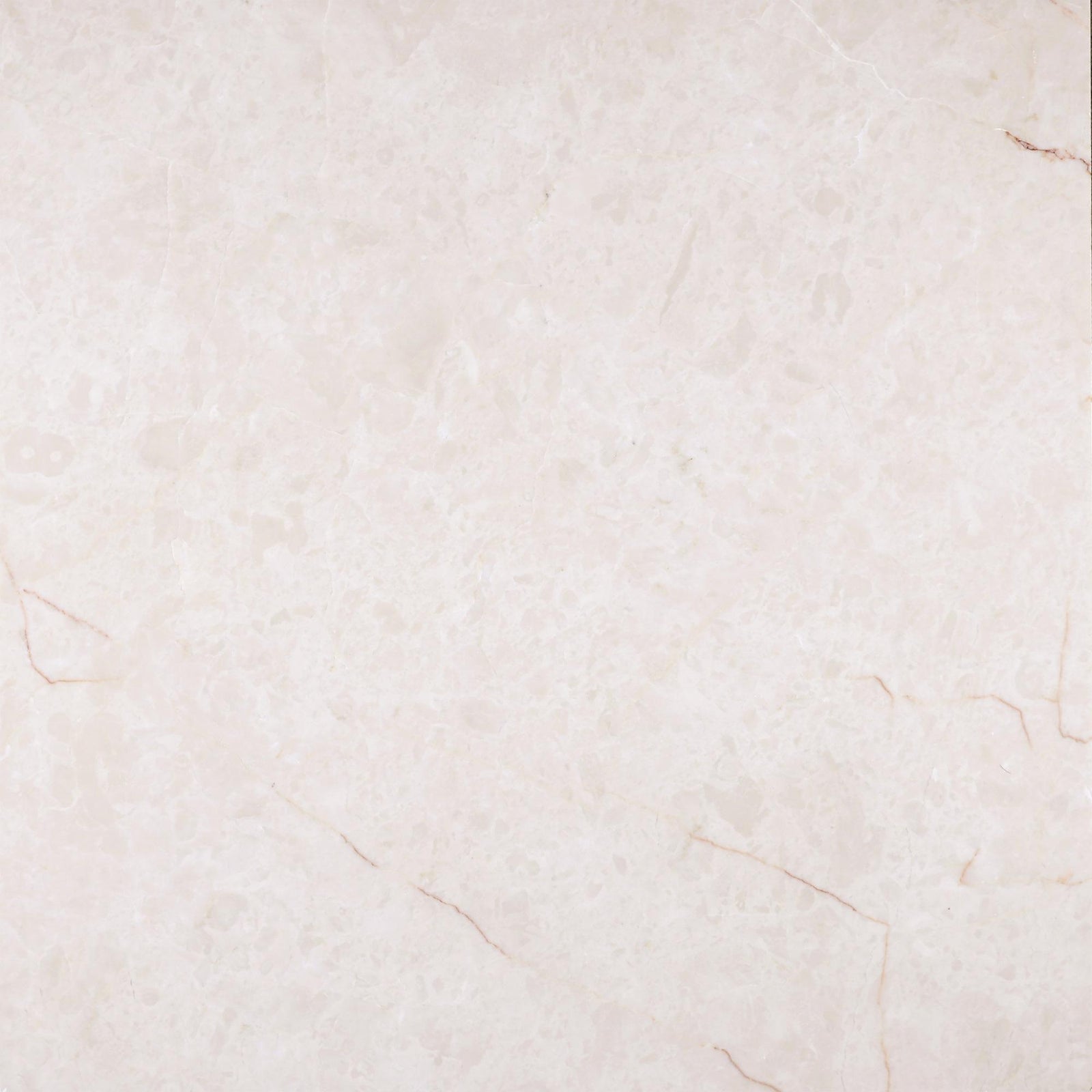 Crema Ella Honed 16'' x 16''  x 1/2'' Field Tile Field Tile 