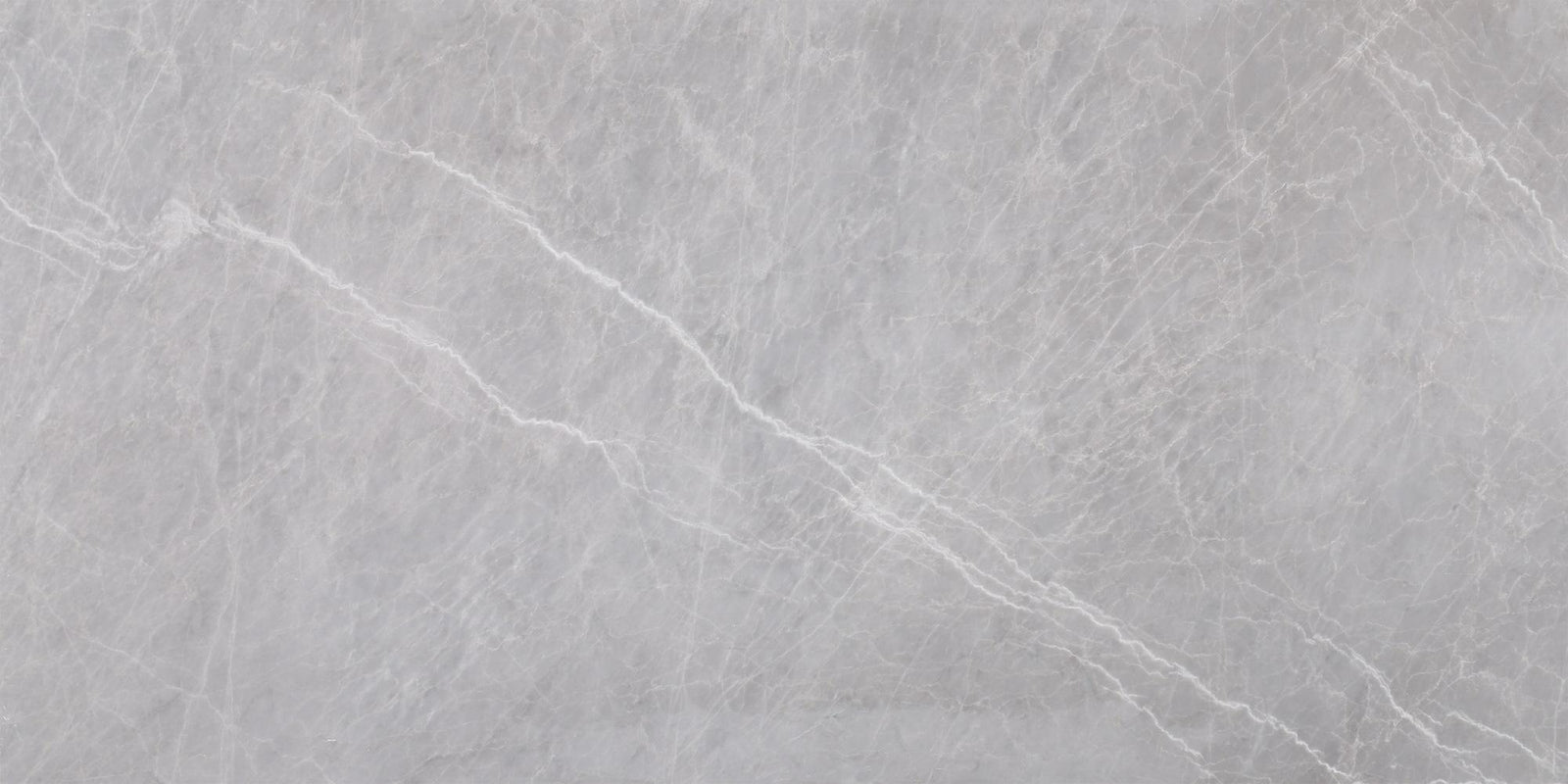 Earth Grey Polished 12'' x 24''  x 5/8'' Field Tile Field Tile 