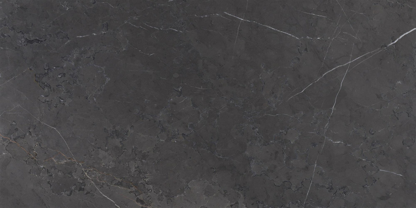 Mount Grey Plain Honed 12'' x 24''  x 1/2'' Field Tile Field Tile 