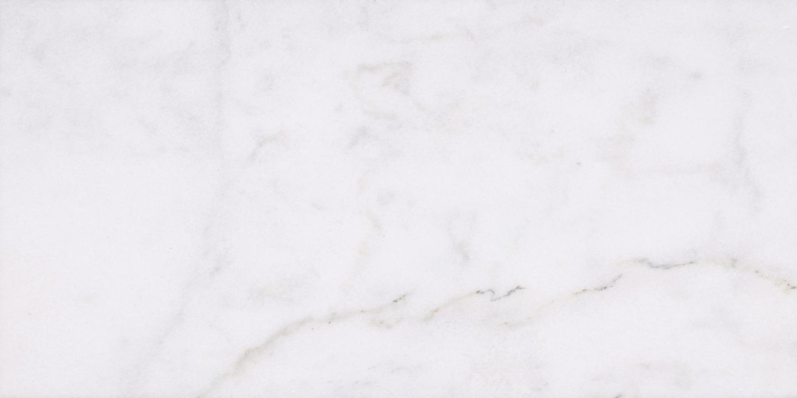 Alba Vera Honed 12'' x 24''  x 3/8'' Field Tile Field Tile 