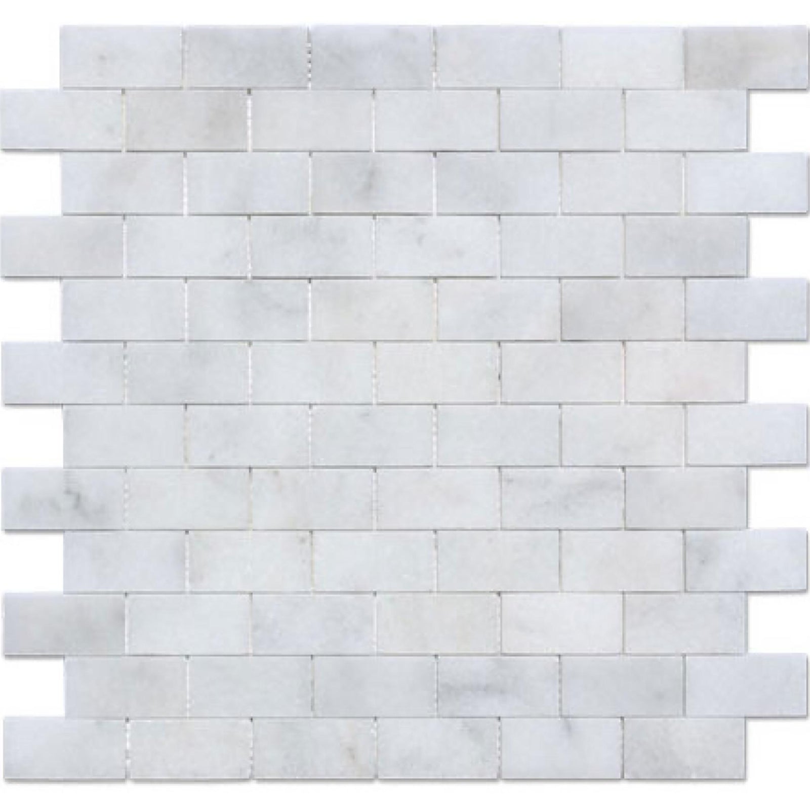 Alba Vera 1''x2'' Polished Mosaic Mosaic 