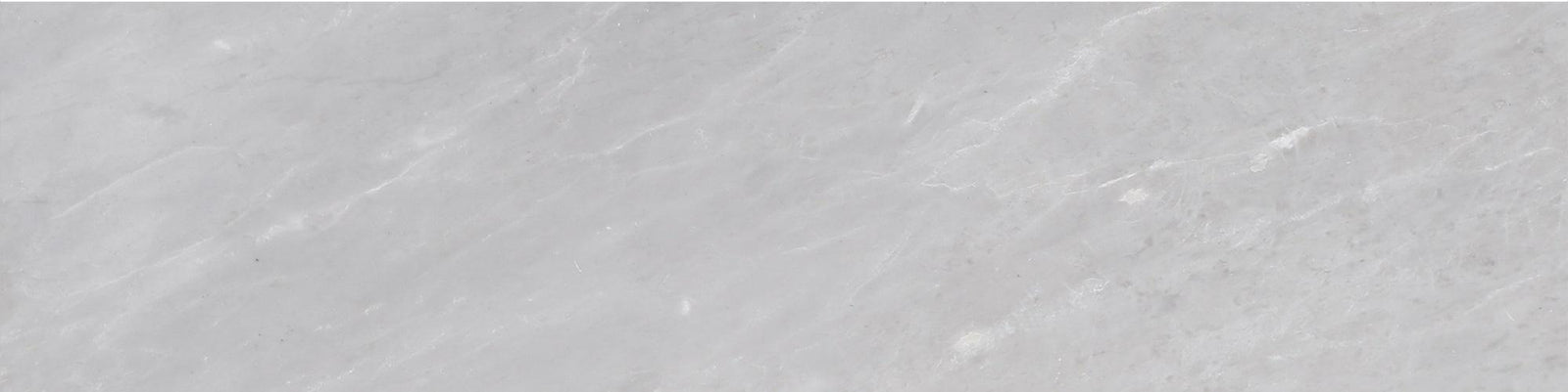 Earth Grey Polished 3'' x 12''  x 3/8'' Field Tile Field Tile 