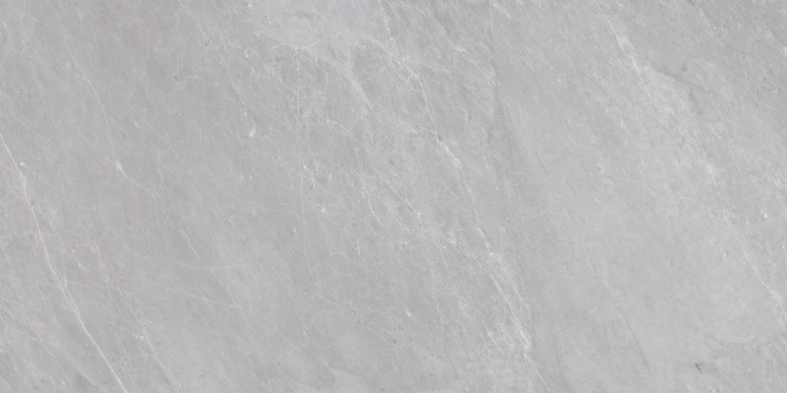 Earth Grey Polished 12'' x 24''  x 5/8'' Field Tile Field Tile 