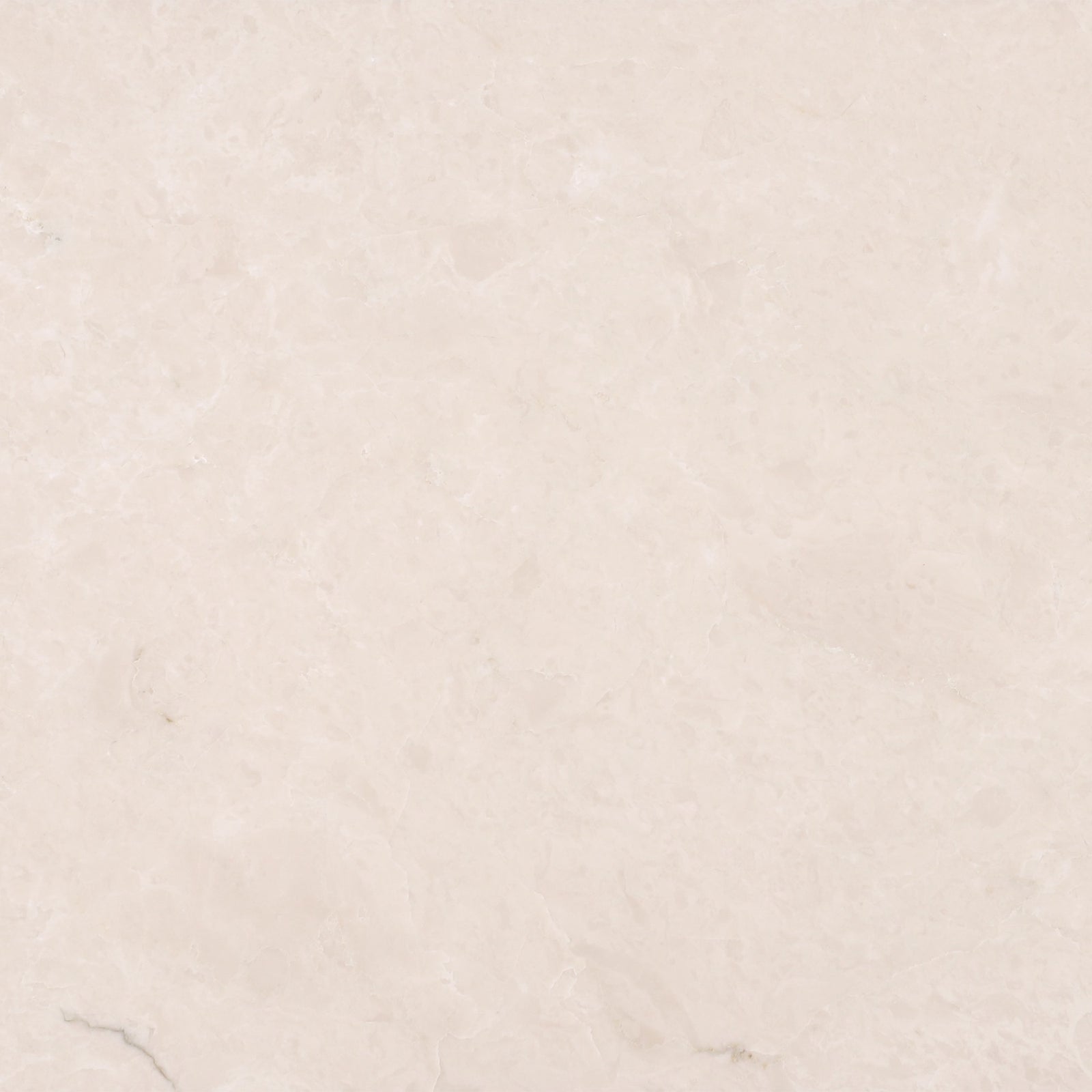 Crema Ella Polished 12'' x 12''  x 1/2'' Field Tile Field Tile 