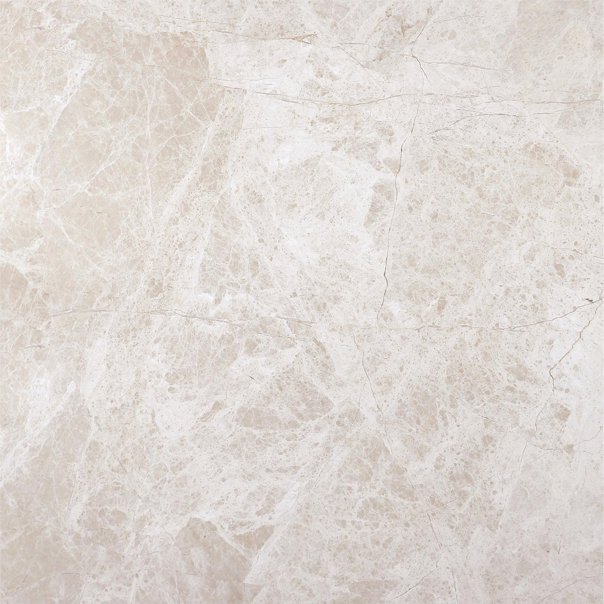 Vanillish Pearl Honed 18&#39;&#39; x 18&#39;&#39;  x 5/8&#39;&#39; Field Tile