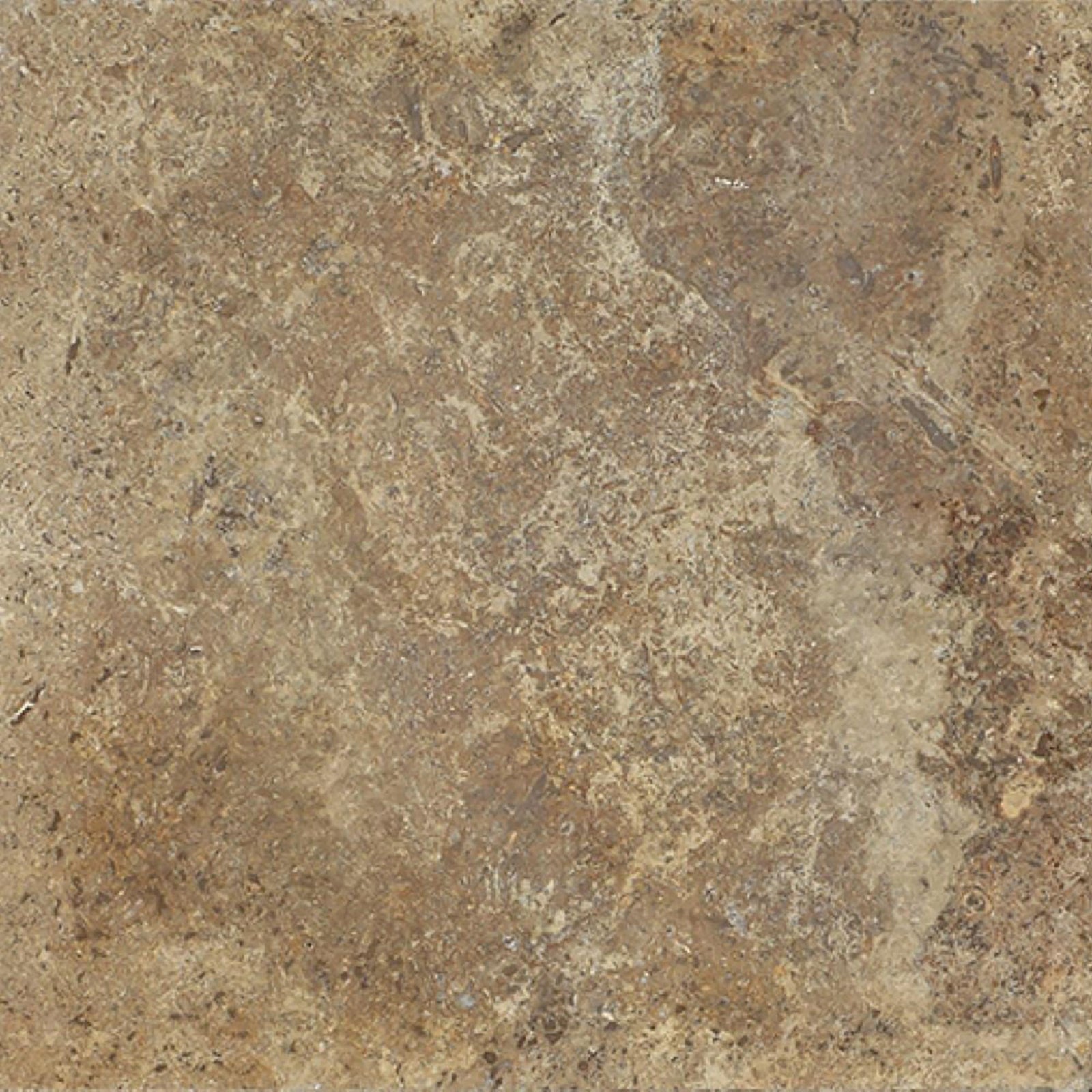 Noce Dark CC Honed 12'' x 12''  x 3/8'' Field Tile Field Tile 