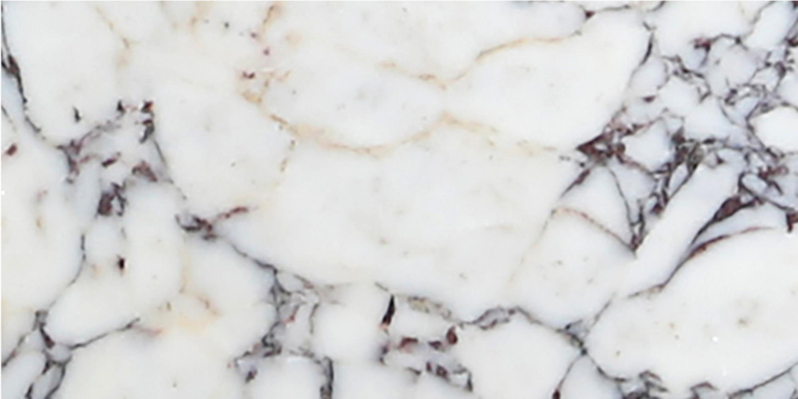 Calacatta Viola Honed 6'' x 12''  x 3/8'' Field Tile Field Tile 