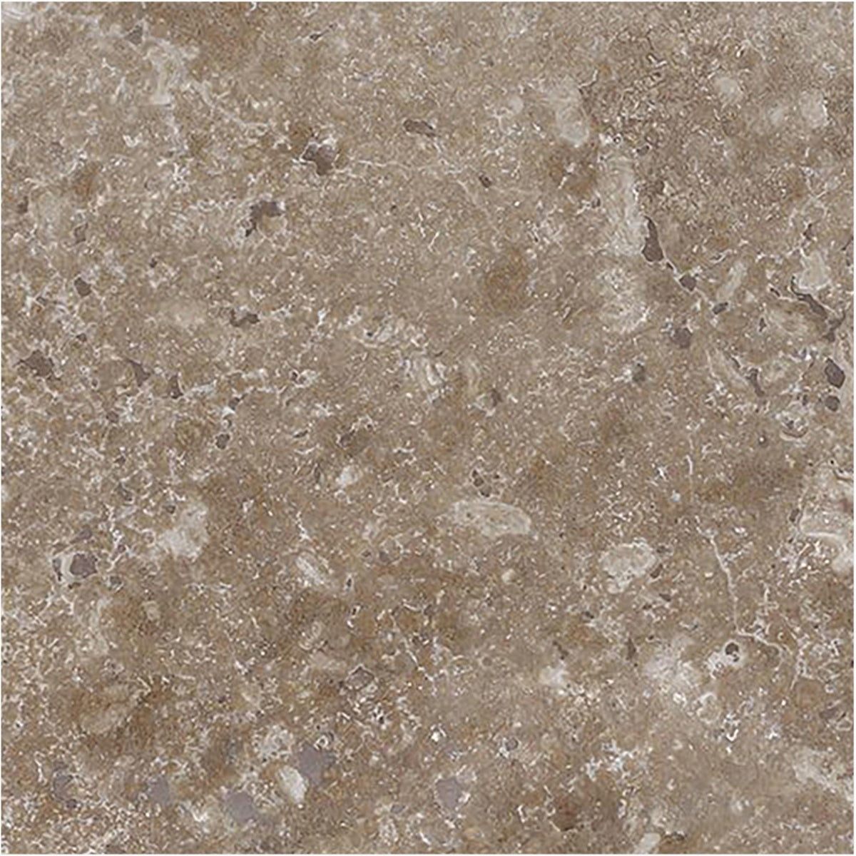 Noce Dark CC Honed 6&#39;&#39; x 6&#39;&#39;  x 3/8&#39;&#39; Field Tile