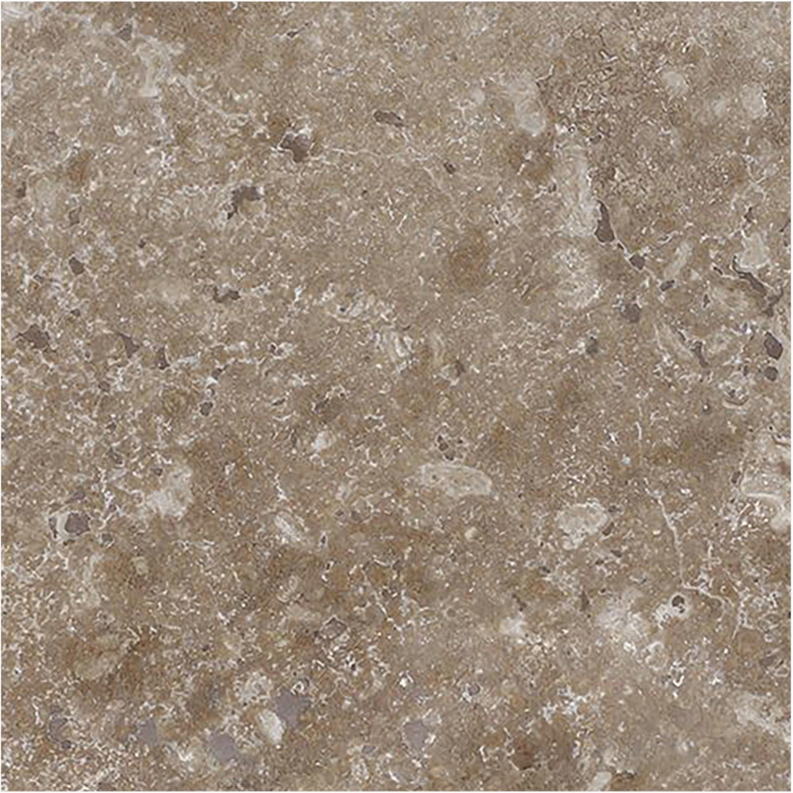 Noce Dark CC Honed 6'' x 6''  x 3/8'' Field Tile Field Tile 