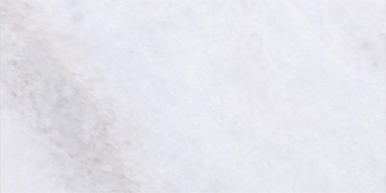 Biarritz White Polished 3'' x 6''  x 3/8'' Field Tile Field Tile Biarritz White 3'' x 6'' Marble Field Tile