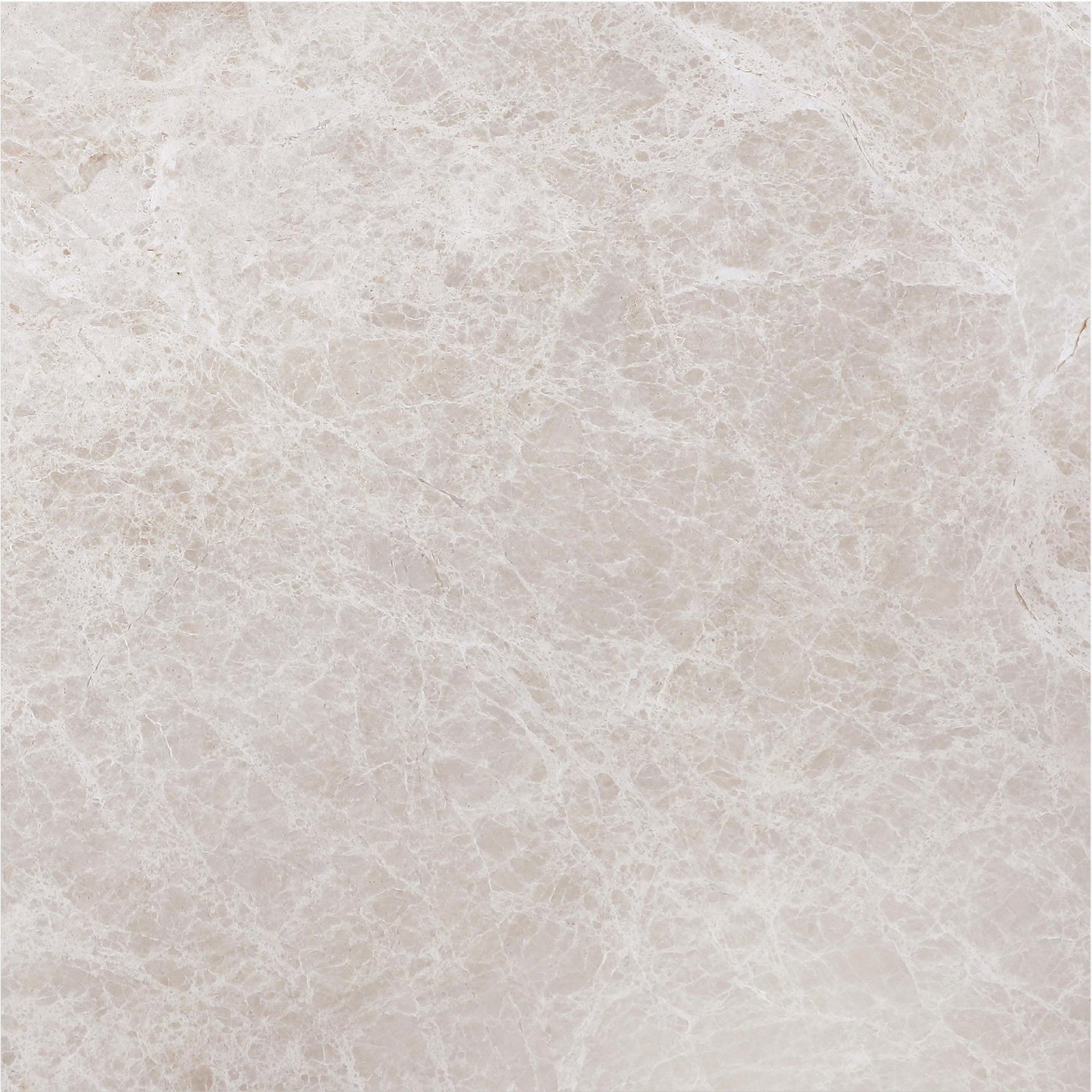 Vanillish Pearl Honed 16'' x 16''  x 5/8'' Field Tile Field Tile 