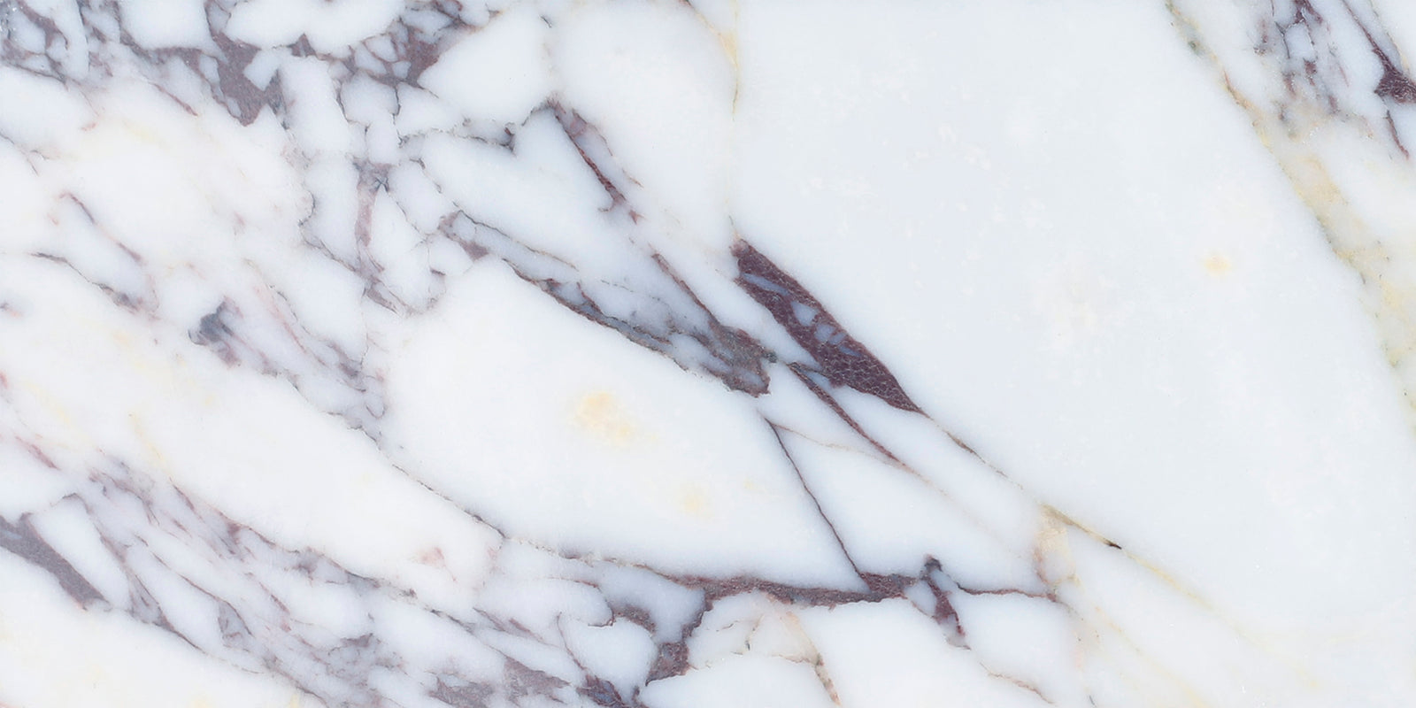 Calacatta Viola Polished 6'' x 12''  x 3/8'' Field Tile Field Tile 