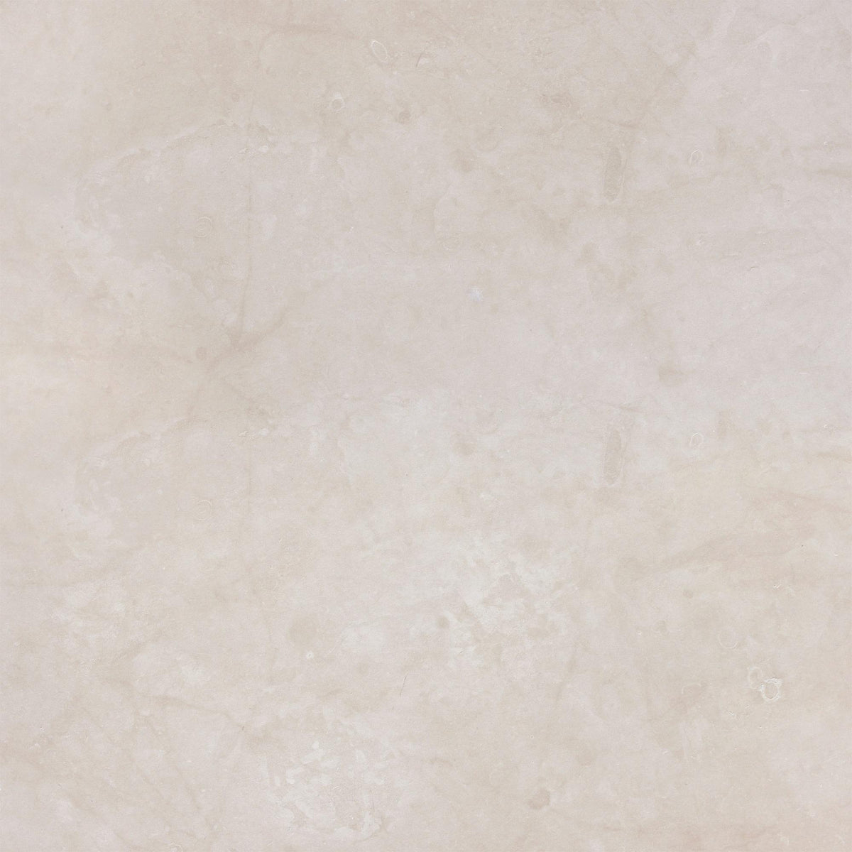 Cream Ole Honed 24&#39;&#39; x 24&#39;&#39;  x 1/2&#39;&#39; Field Tile