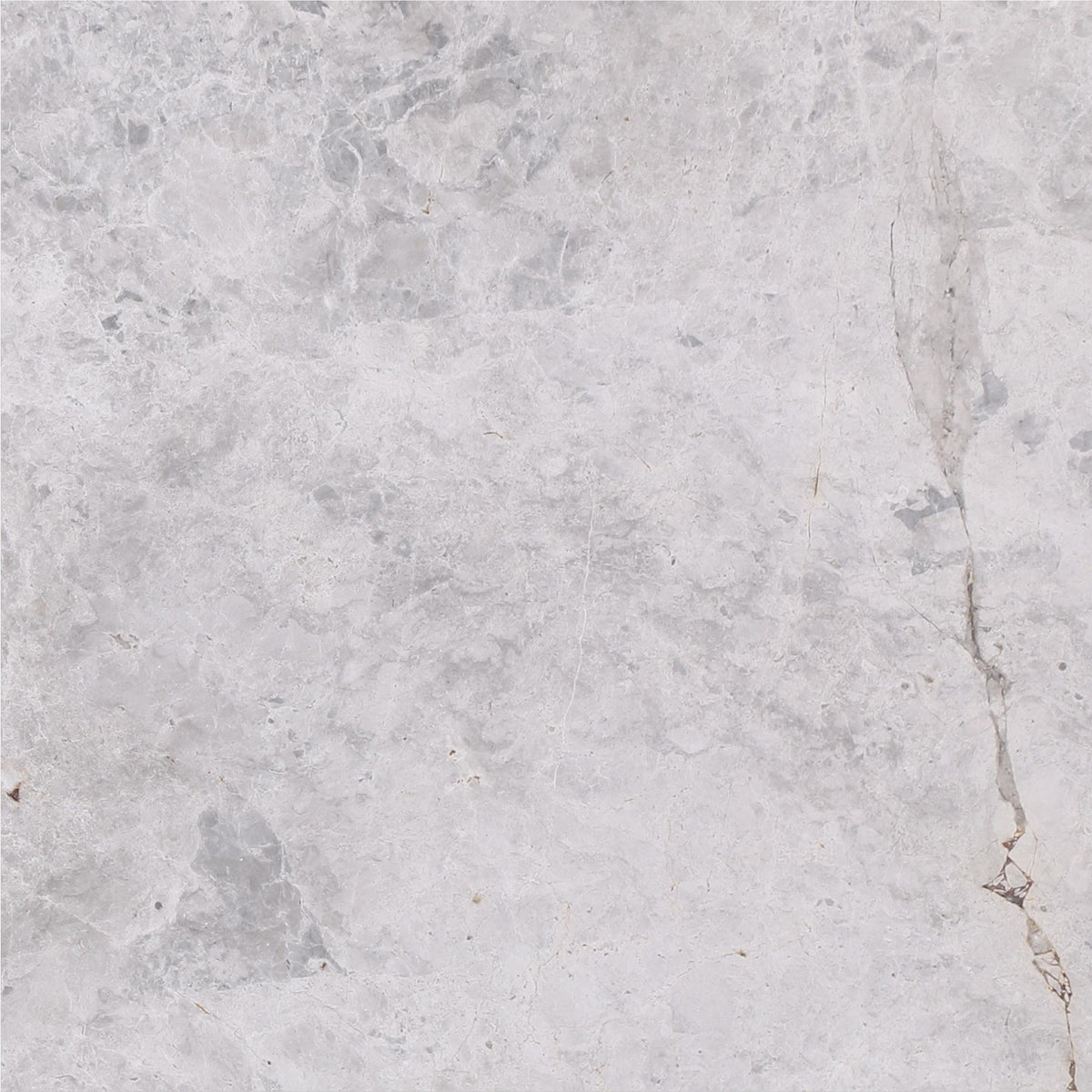 Tundra Grey Honed 16&#39;&#39; x 16&#39;&#39;  x 5/8&#39;&#39; Field Tile