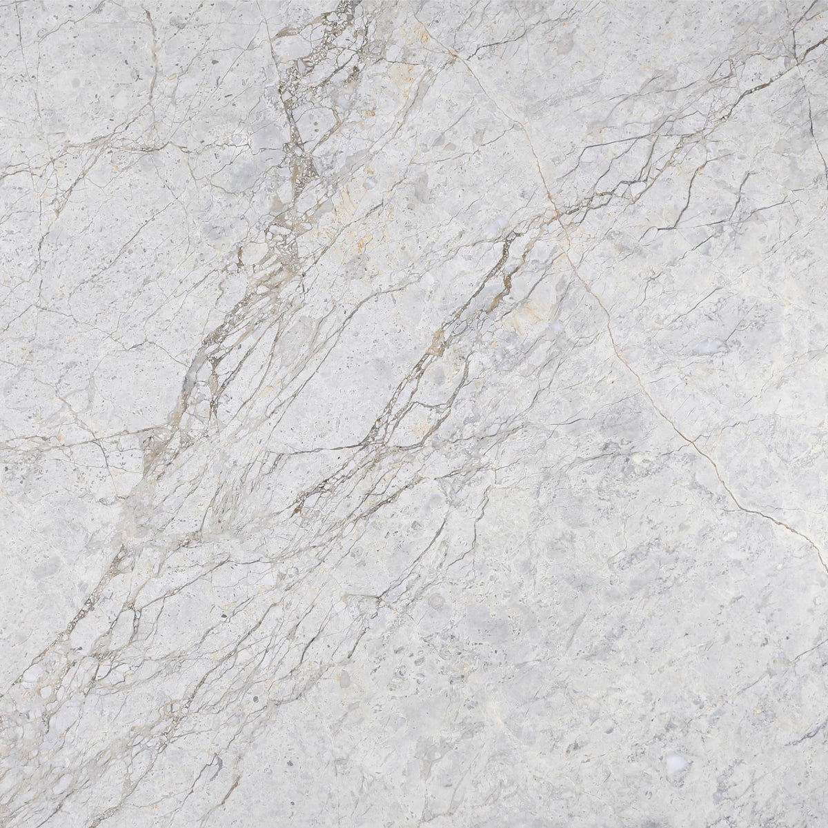 Tundra Grey DA Polished 18&#39;&#39; x 18&#39;&#39;  x 5/8&#39;&#39; Field Tile