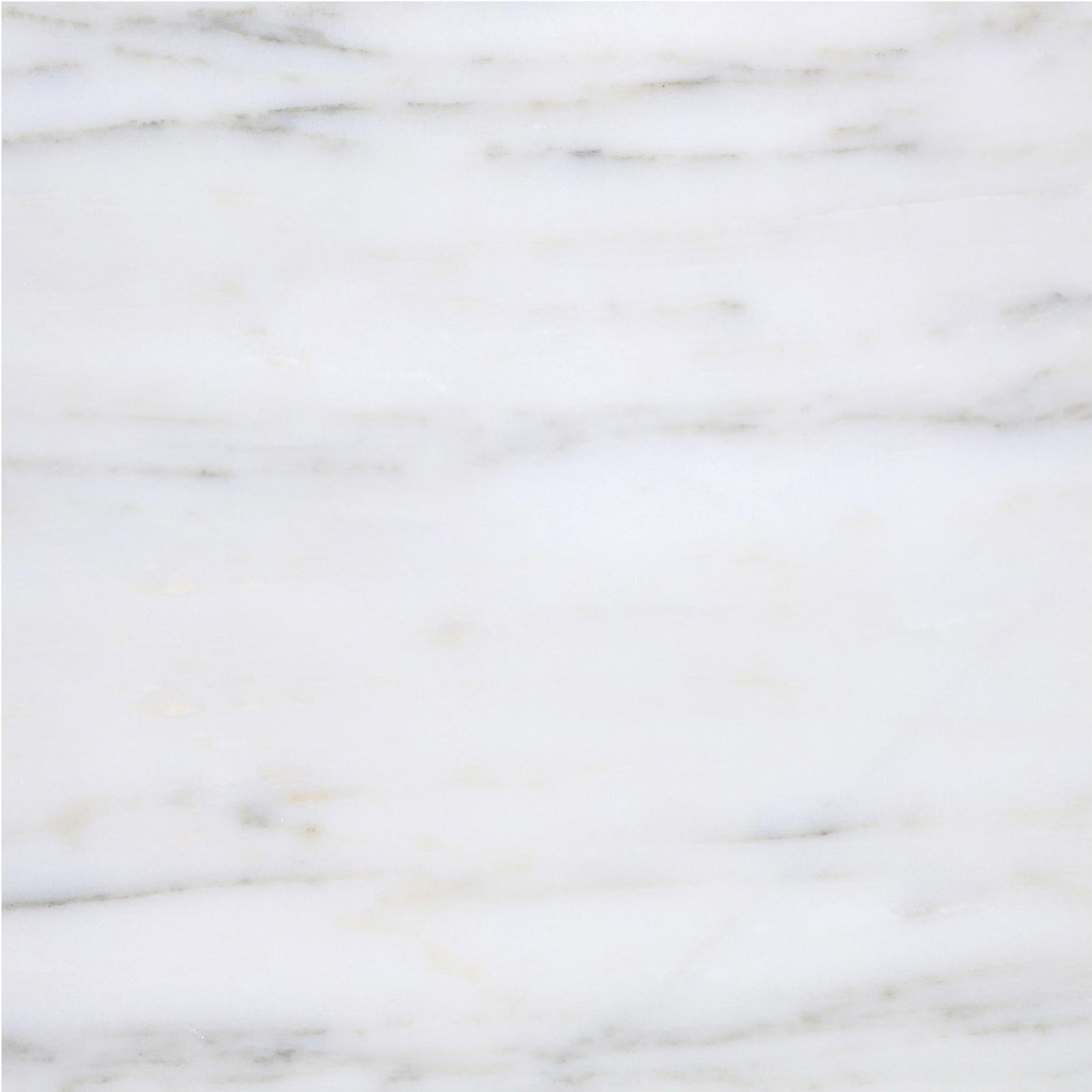 Calacatta Vida Honed 18'' x 18''  x 1/2'' Field Tile Field Tile 