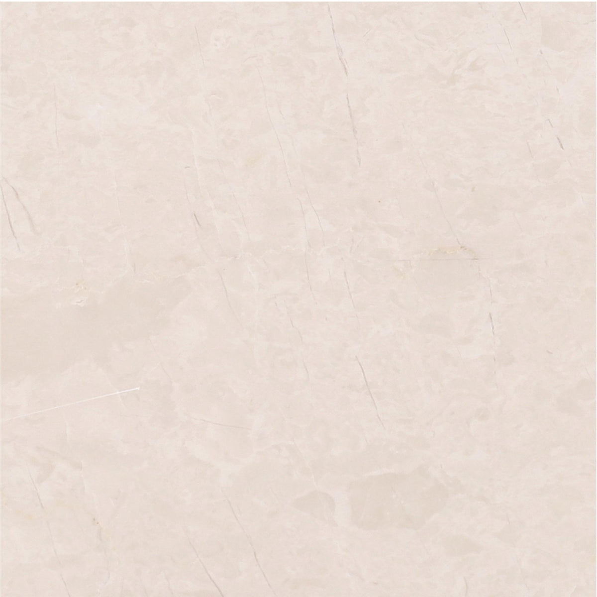 Crema Ella Honed 6&#39;&#39; x 6&#39;&#39;  x 3/8&#39;&#39; Field Tile