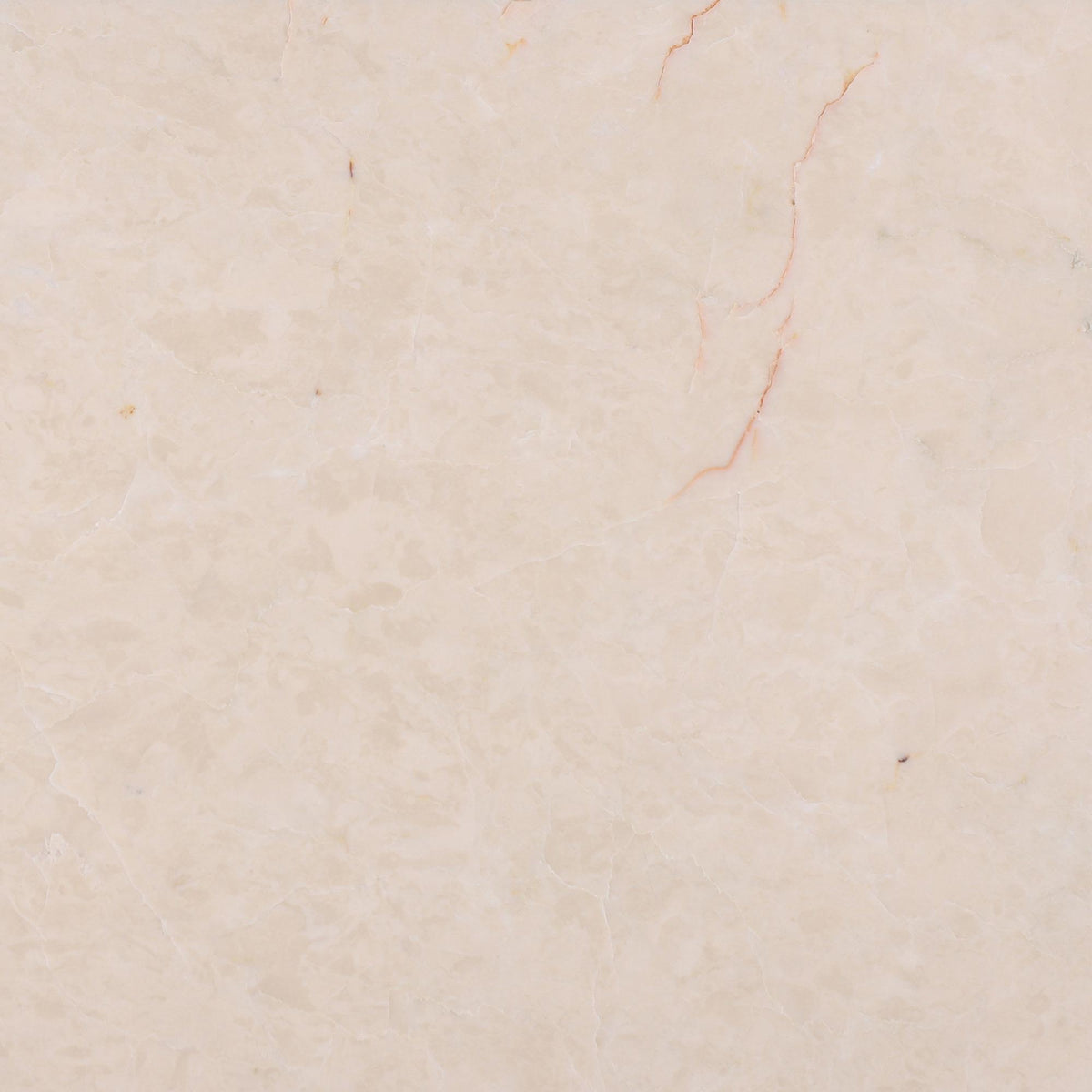 Crema Ella Polished 12&#39;&#39; x 12&#39;&#39;  x 3/8&#39;&#39; Field Tile Field Tile 