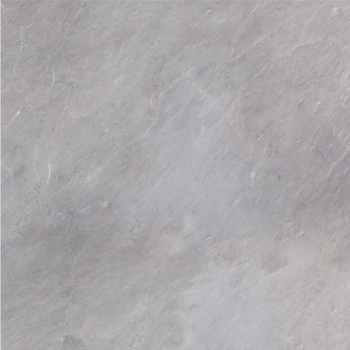 Earth Grey Honed 18&#39;&#39; x 18&#39;&#39;  x 5/8&#39;&#39; Field Tile