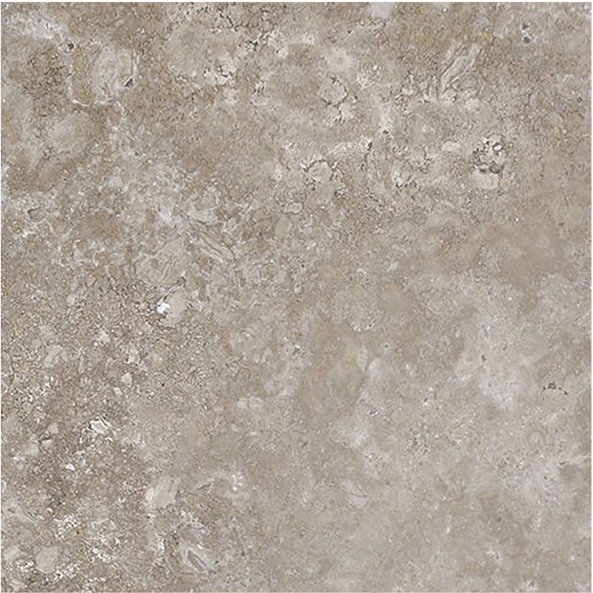 Noce Dark CC Honed 6'' x 6''  x 3/8'' Field Tile