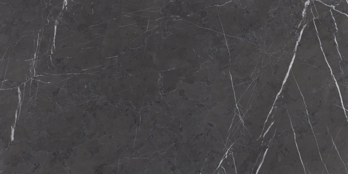 Mount Grey Plain Honed 12'' x 24''  x 1/2'' Field Tile