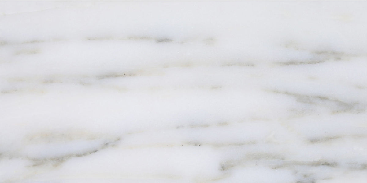 Calacatta Vida Honed 6'' x 12''  x 3/8'' Field Tile Building Materials 