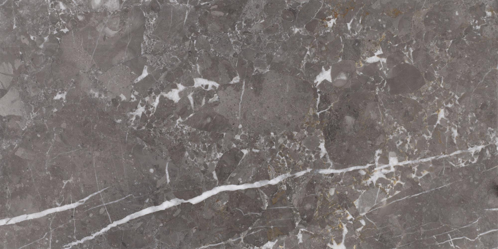 Caribbean Grey Polished 12'' x 24''  x 1/2'' Field Tile Field Tile 