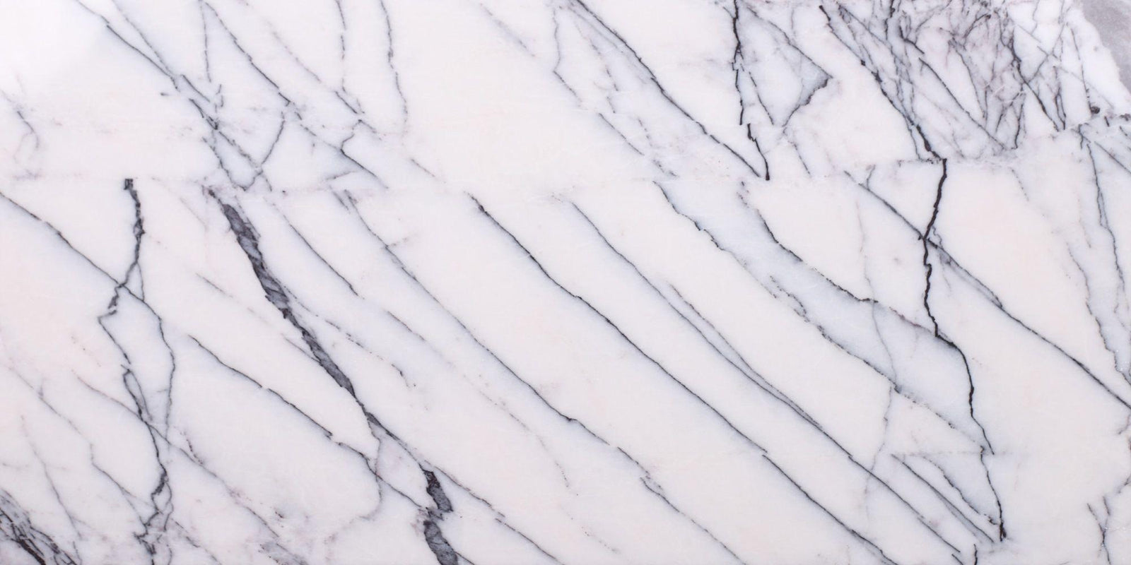 Violeta Polished 12'' x 24''  x 1/2'' Field Tile Field Tile 