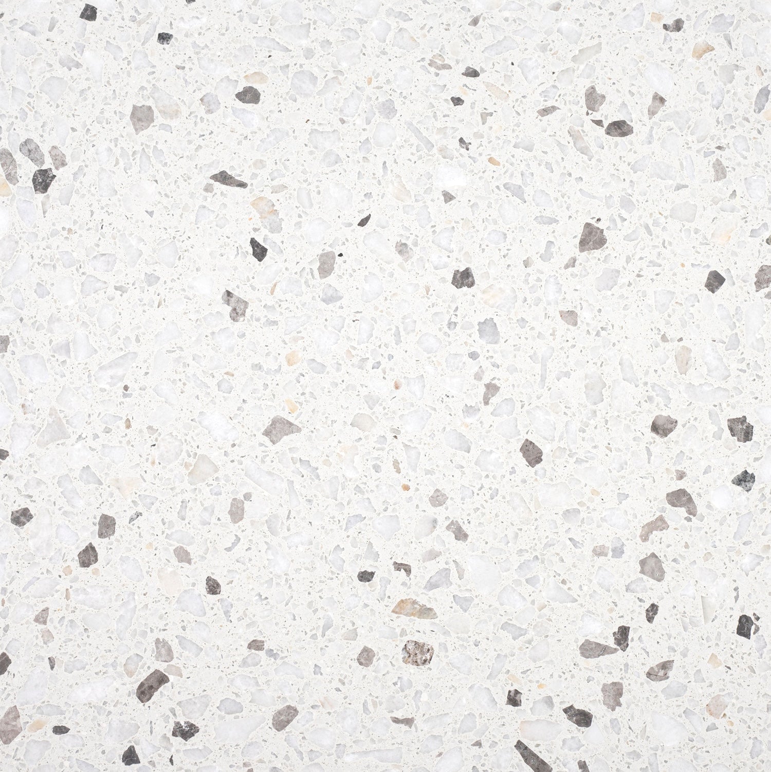 Biarritz White Honed 24'' x 24''  x 1/2'' Terrazzo Field Tile #44 Building Materials 