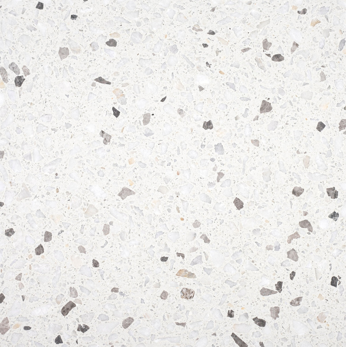 Terrrazo Field Color Biarritz White Honed 24'' x 24'' x 1/2'' Terrazzo Field Tile #44 ...