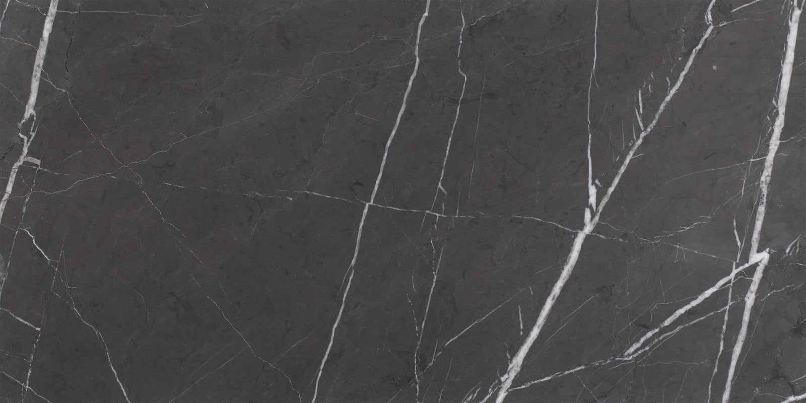Mount Grey Plain Polished 12'' x 24''  x 1/2'' Field Tile Field Tile 