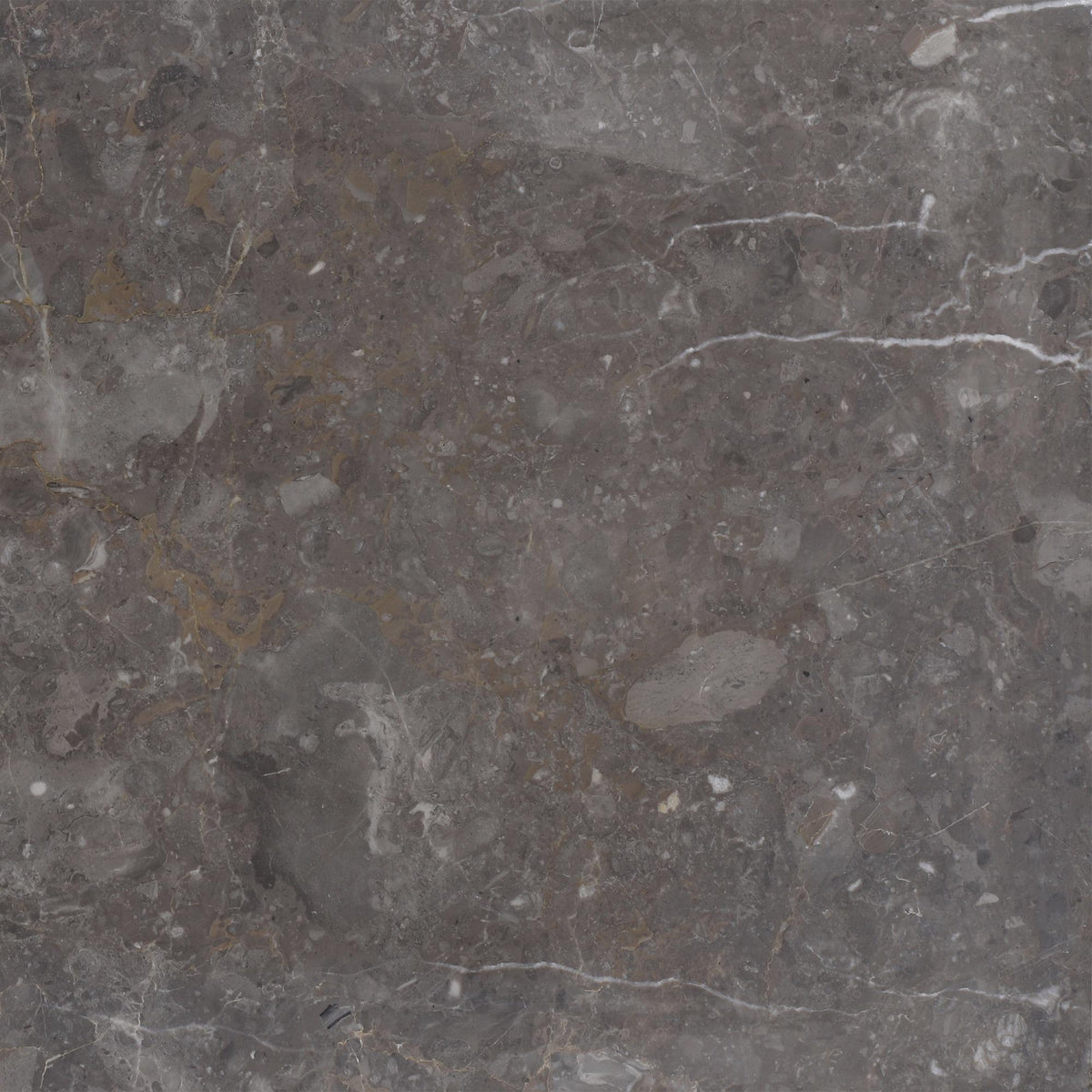 Caribbean Grey Honed 12&#39;&#39; x 12&#39;&#39;  x 1/2&#39;&#39; Field Tile