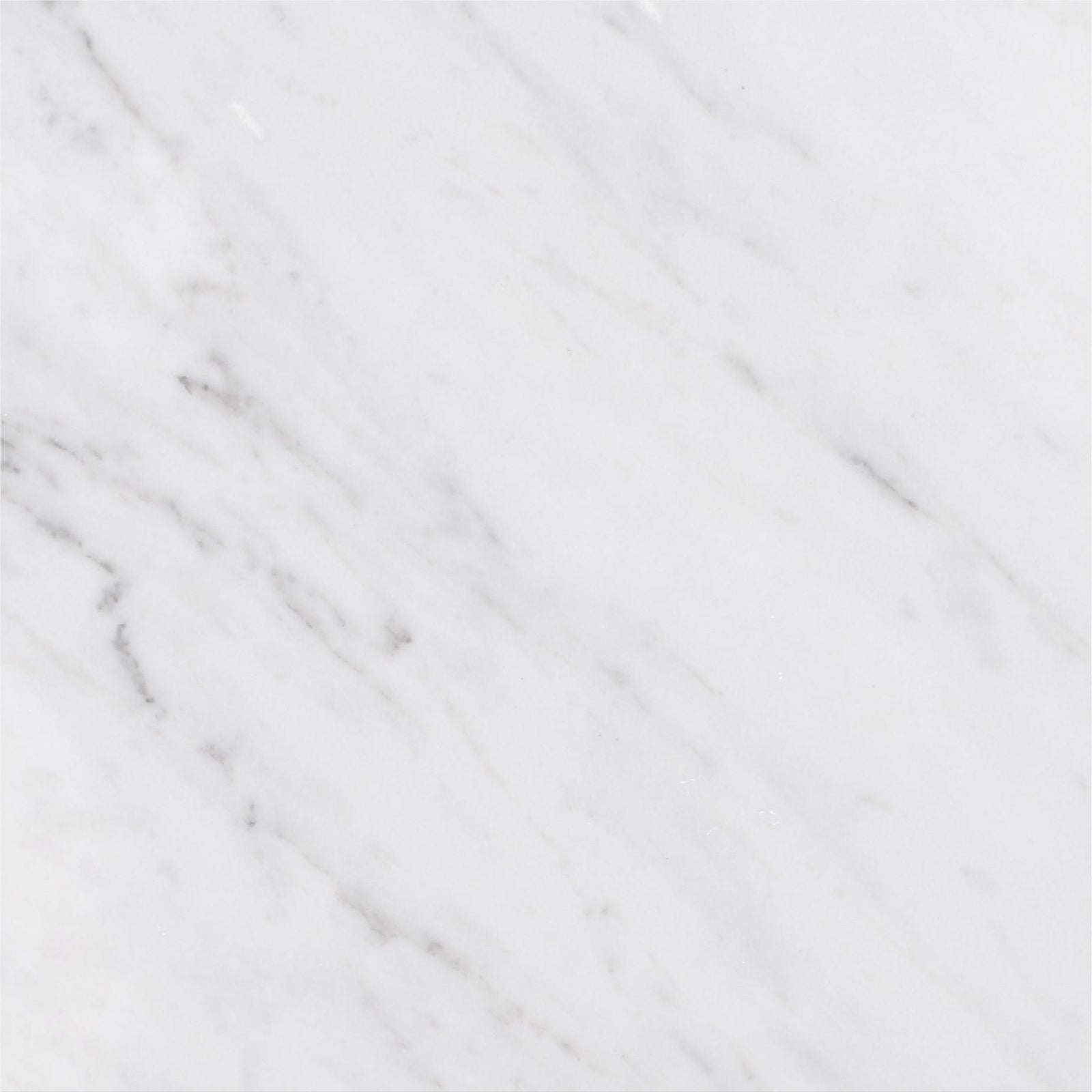 Alba Vera Polished 18'' x 18''  x 3/8'' Field Tile Field Tile 