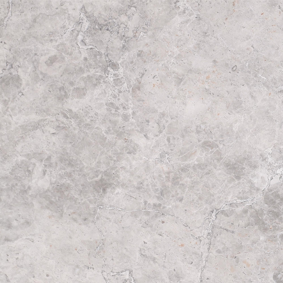 Tundra Grey Honed 18&#39;&#39; x 18&#39;&#39;  x 1/2&#39;&#39; Field Tile