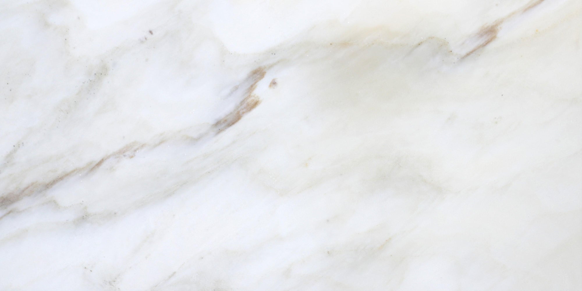 Calacatta Caldia  Calacatta Caldia Marble | Field Tile, Mosaic & Molding, Featured Tile, Large Format Tile, Landscape