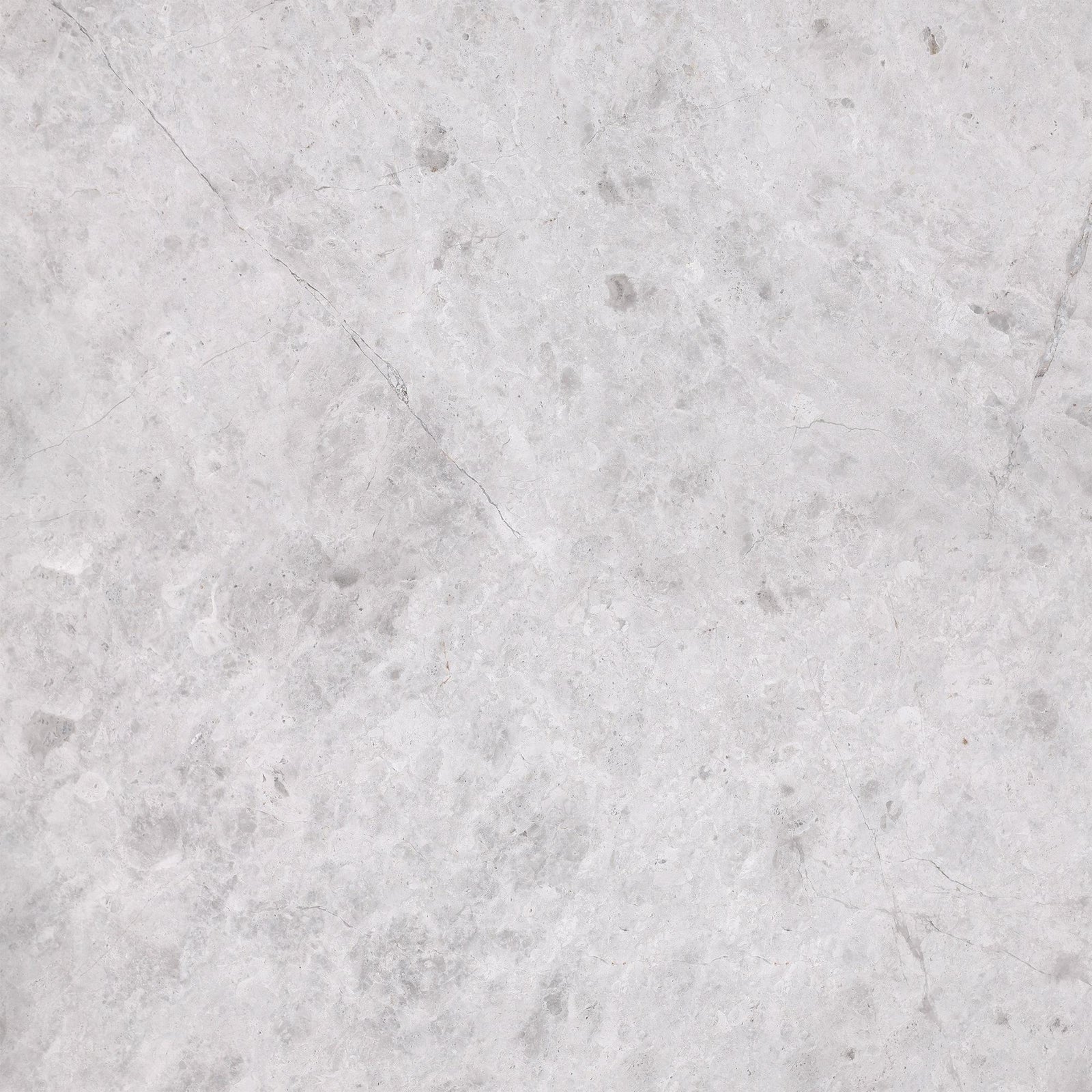 Tundra Grey Honed 24'' x 24''  x 5/8'' Field Tile Field Tile 