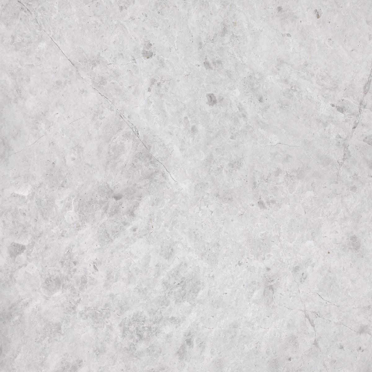 Tundra Grey Honed 24&#39;&#39; x 24&#39;&#39;  x 5/8&#39;&#39; Field Tile